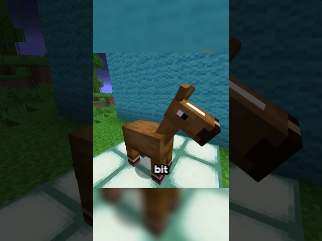 So Mojang Changed the Baby Horses...