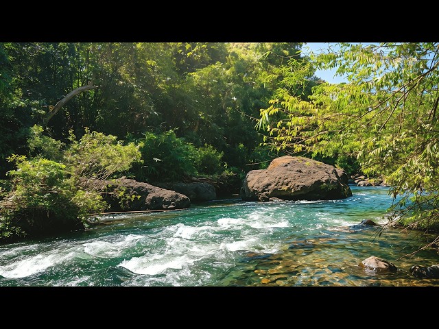Natural River Ambience ASMR 🌊 Pure Water Flow – No Rain No Music for Deep Sleep