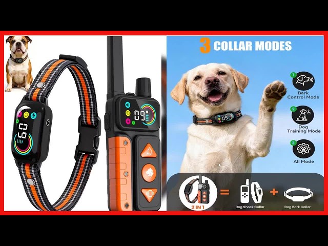 2-in-1 Dog Bark & Shock Collar: Smart Training with Safety and Control