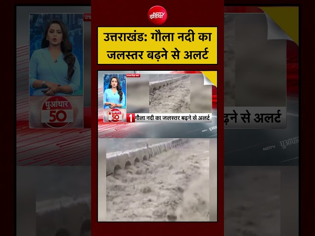 Viral Video | उत्तराखंड: गौला नदी का जलस्तर बढ़ने से अलर्ट | Uttarakhand Flood #viral #uttarakhand