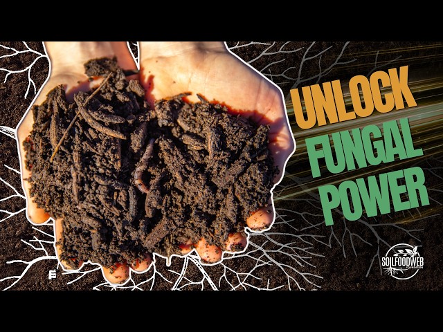 Fungal Compost Tea: Regenerative Soil Science Secrets