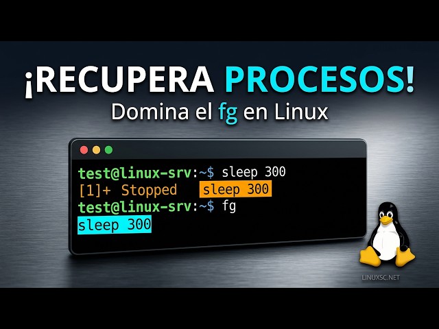 ¡No pierdas tu proceso! Usa el comando fg en Linux, presiona Ctrl+Z #Linux  #SysAdmin    #Ubuntu