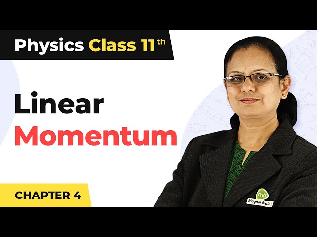 Linear Momentum - Laws of Motion | Class 11 Physics