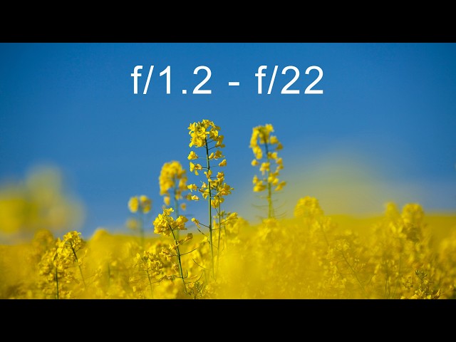 My favourite aperture is a game changer…