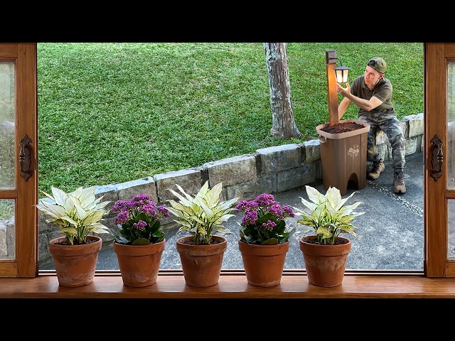 Creative Ideas for Garden Decor that will Surprise You! #4