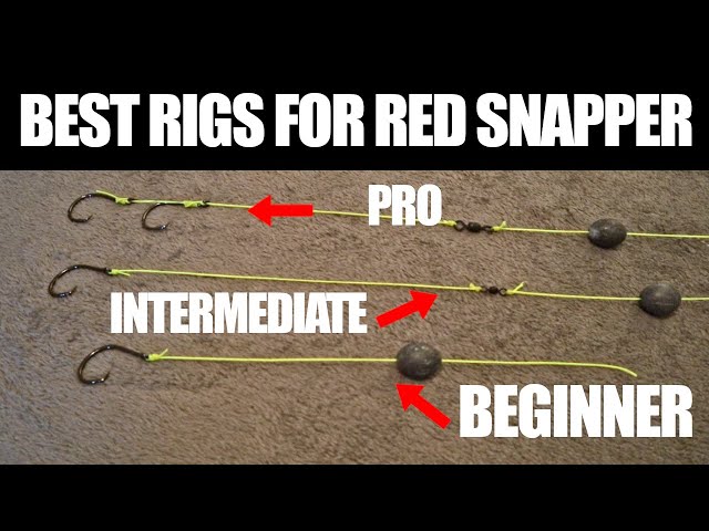 Best Red Snapper Rigs for any experience level!