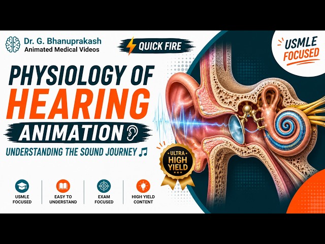 Physiology Of Hearing Animation👂Understanding the Sound Journey 🎶
