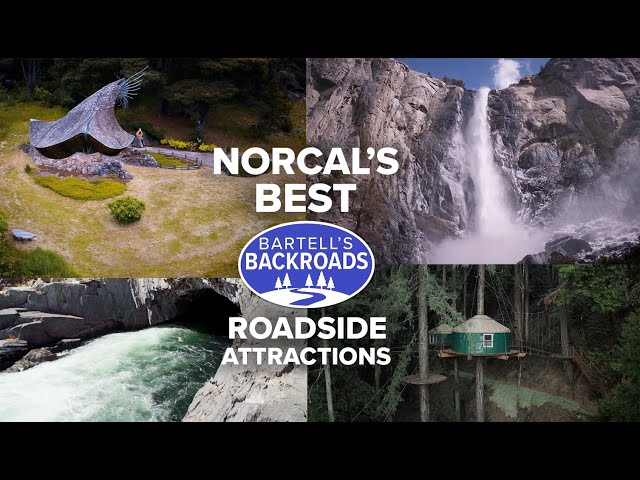 NorCal's Best Roadside Attractions: A Bartell's Backroads Adventure