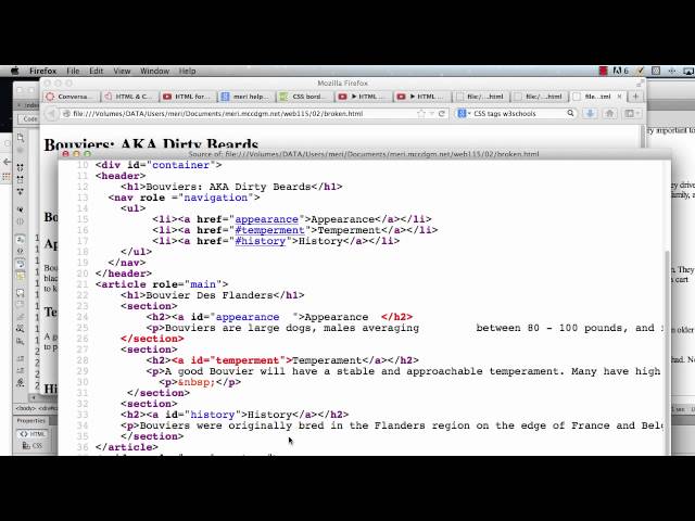 Firefox for Error Checking
