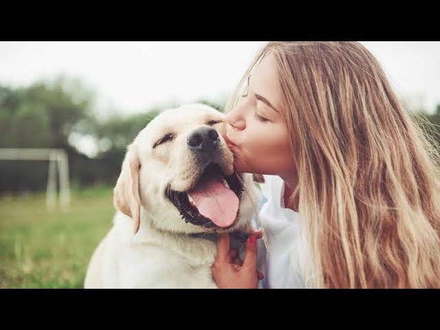 My First Blog For Dog Lovers