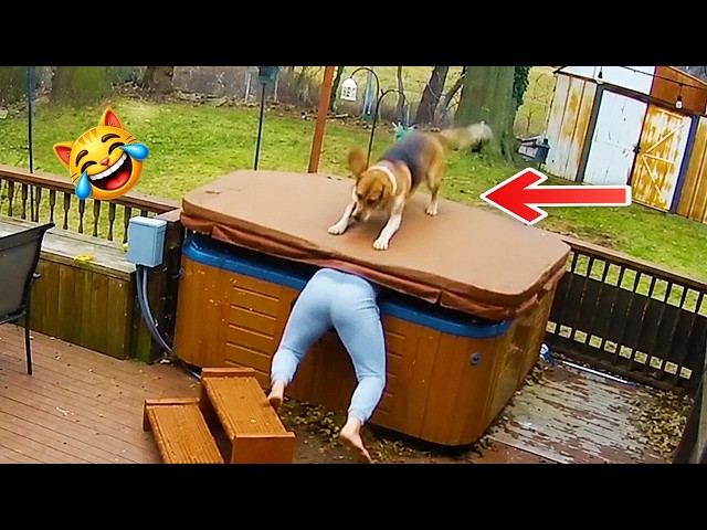 The Funniest Over-Dramatic Cats & Dogs You’ve Ever Seen! 🐾😱