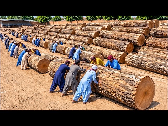Top 5 Most Amazing Mega Recycling & Manufacturing Process Videos! You Won’t Believe | Must Watch