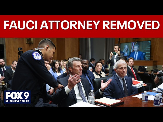 Fauci attorney ejected from Senate hearing after heated exchange
