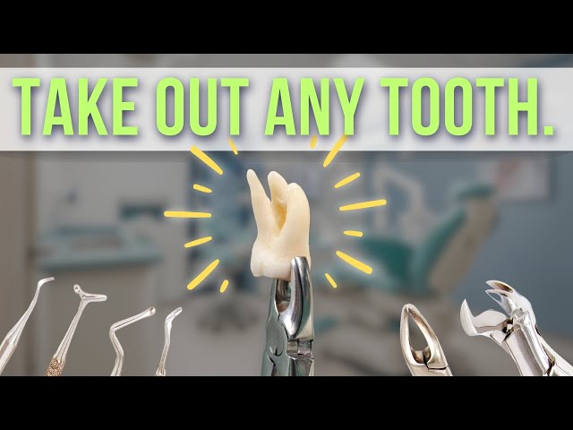 How to Extract Teeth in Dentistry | Power Dental Instruments